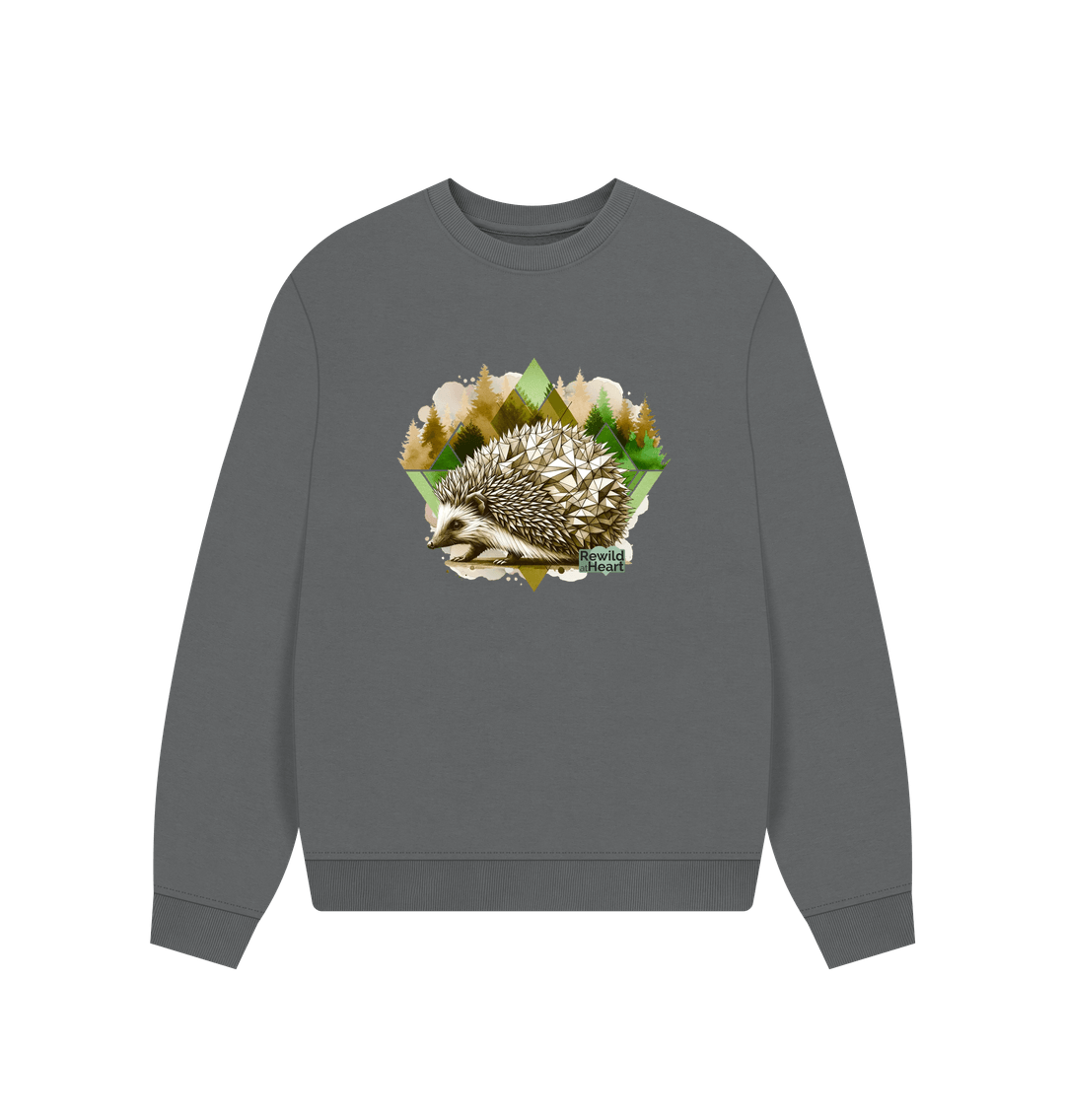Slate Grey Hedgehog Women's Oversized Jumper