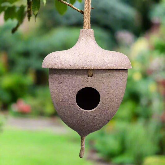 Hanging Acorn Birdhouse, made from Nut Husk