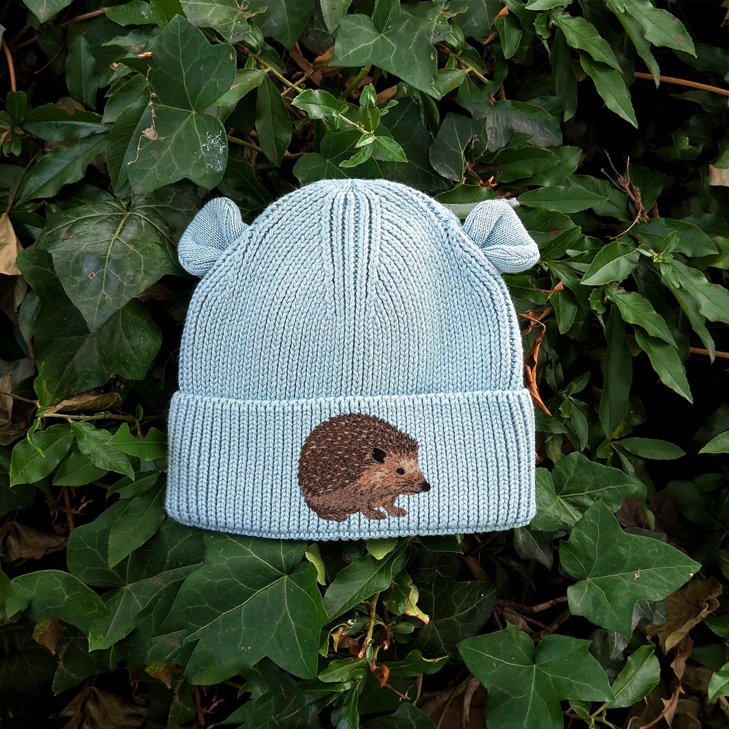Hedgehog Embroidered Baby Bear Beanie (up to 2 years)