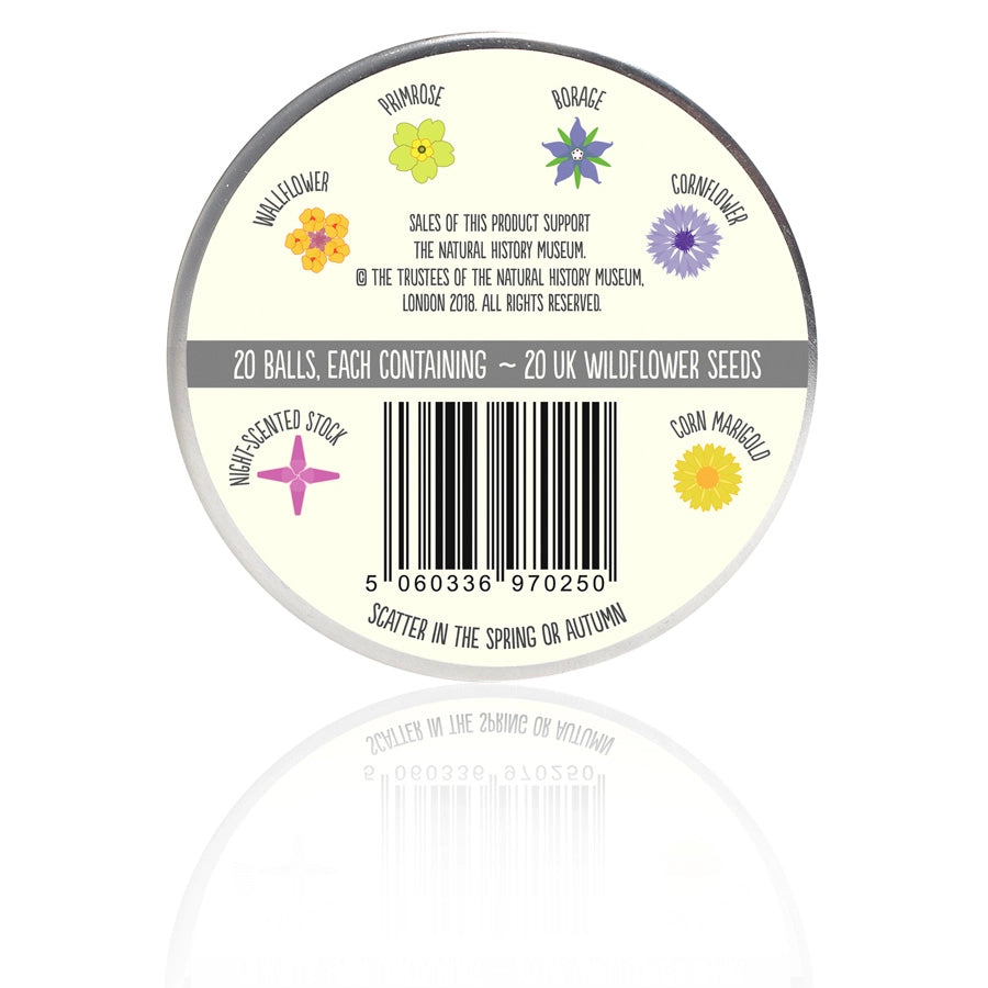 Seedball Tin: Bat Mix, Grow Night Garden Wildflowers