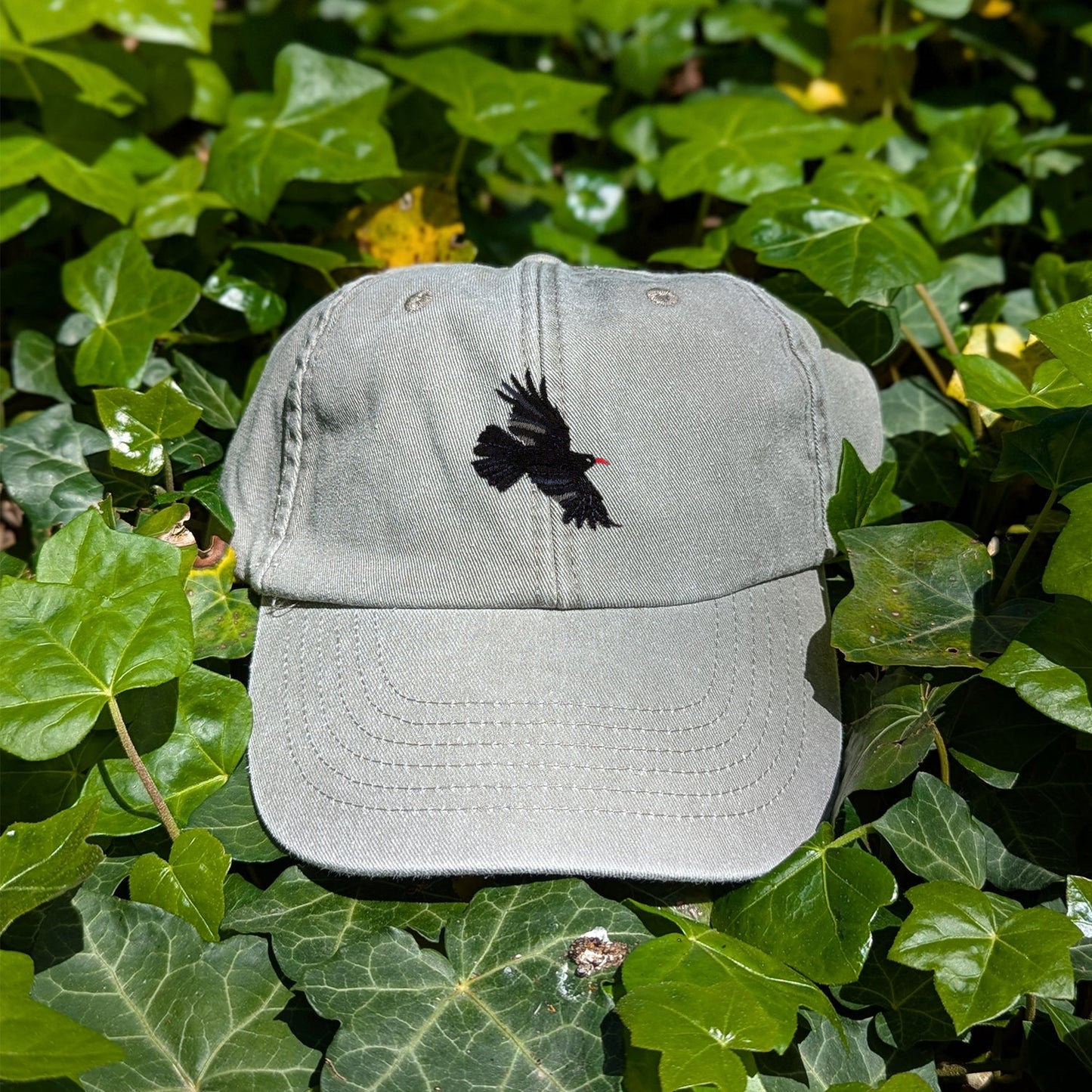 Chough Embroidered Baseball Cap