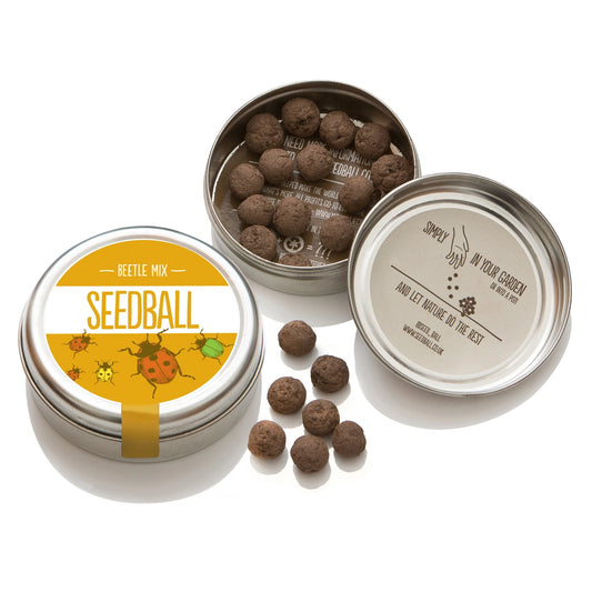 Seedball Tin: Beetle Mix, Wildflowers for Pollinator Heroes
