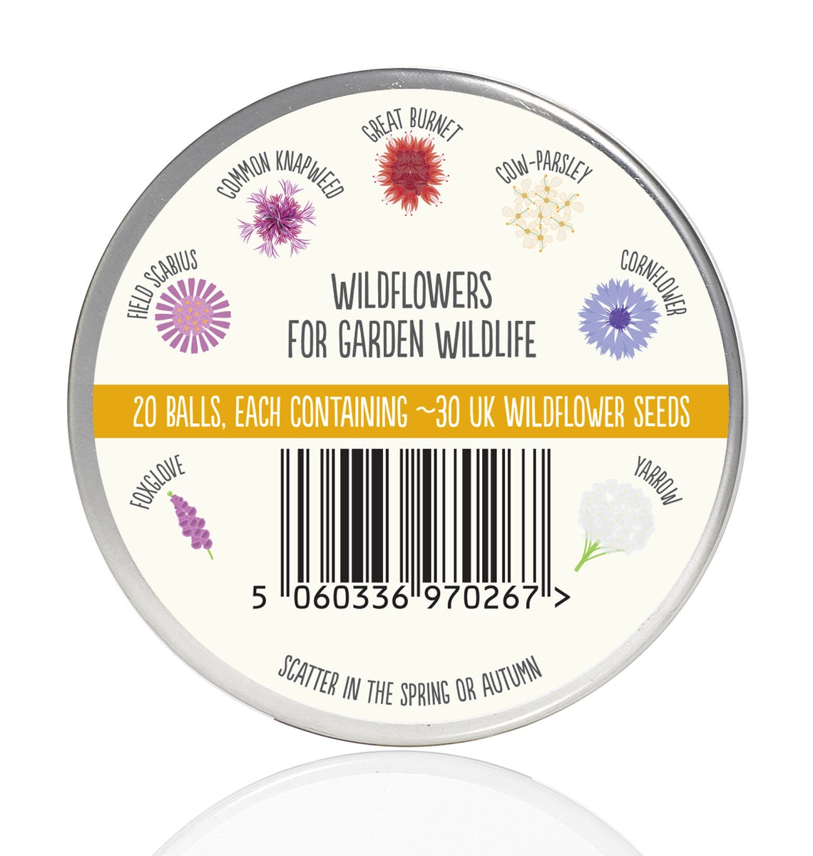 Seedball Tin: Beetle Mix, Wildflowers for Pollinator Heroes