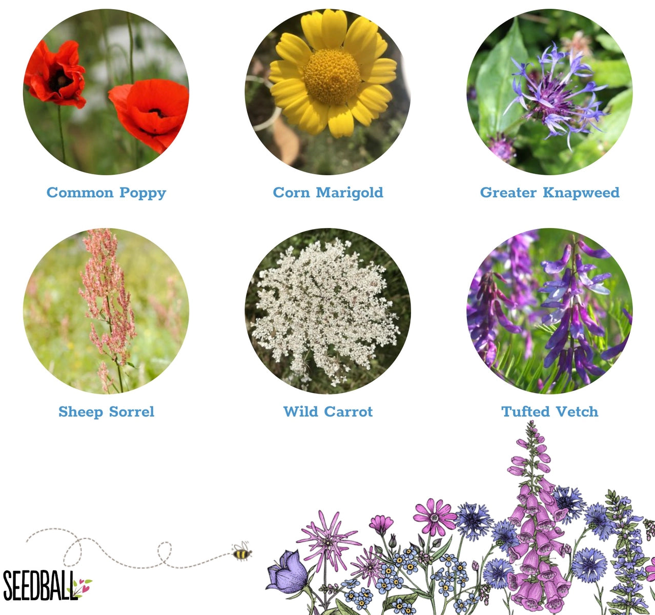 Seedball Tin: Bird Mix, Wildflowers for your Garden Birds