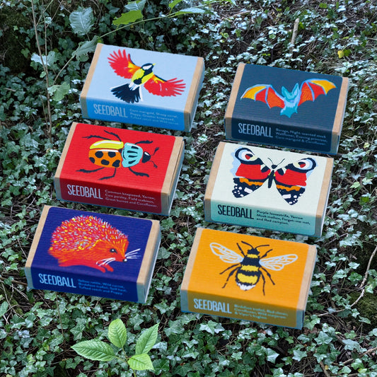 Seedball Wildlife Collection Seed Box Set: 6 Wildflower Seed Ball Boxes