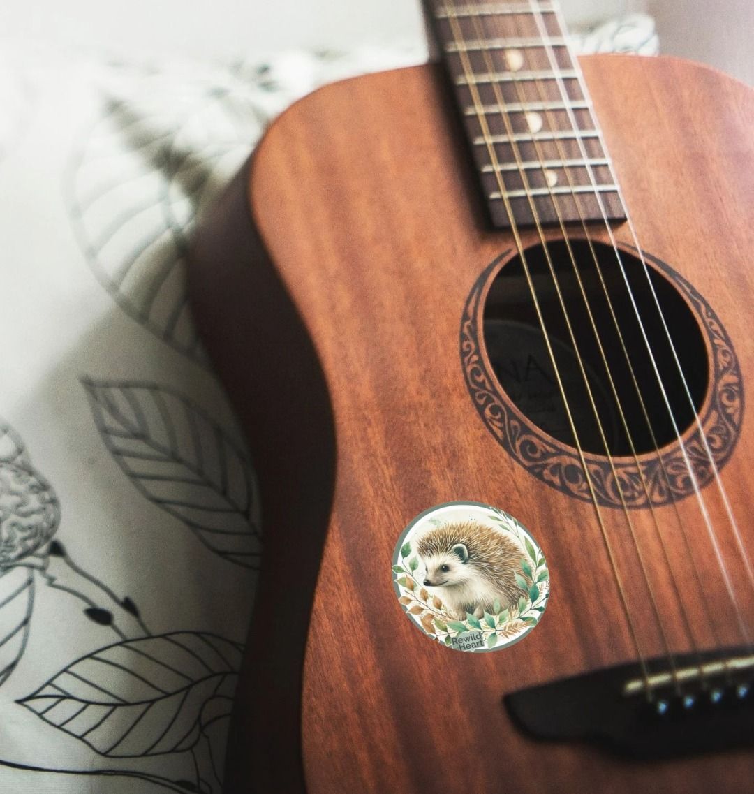 Hedgehog Harmony Sticker