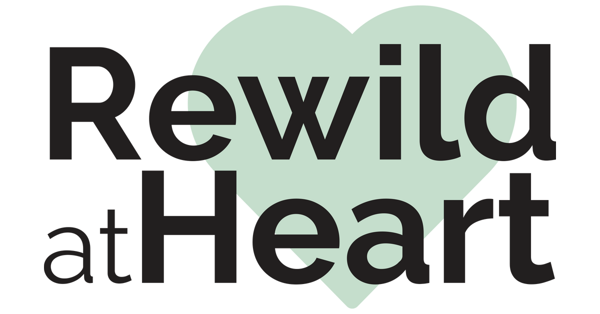 Rewilding Gift Guide EcoFriendly Gifts for Nature Lovers Rewild at