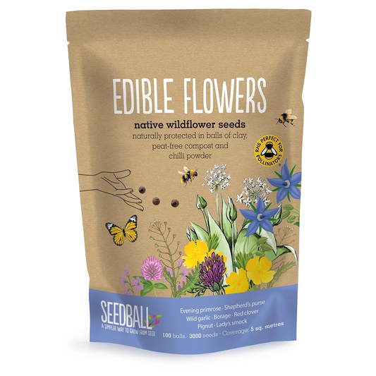 Seedball Edible Wildflower Bag – Flowers for Garden & Plate