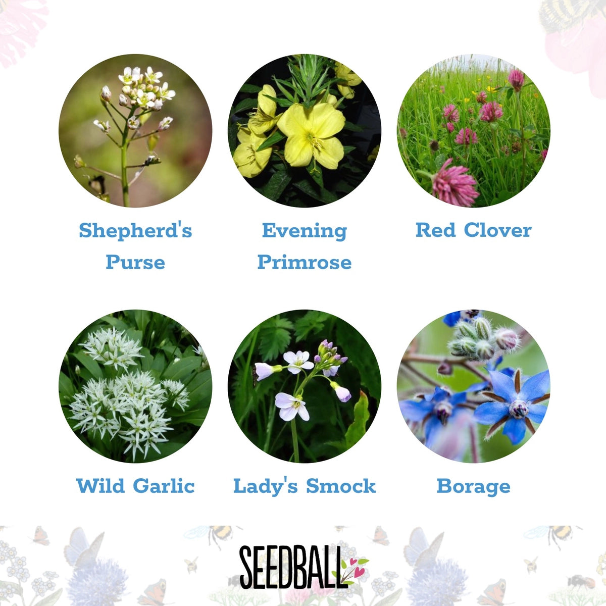 Seedball Edible Wildflower Bag – Flowers for Garden & Plate