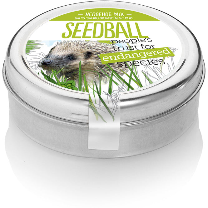 Seedball Tin: Hedgehog Mix, Wildflowers for a Healthy Garden