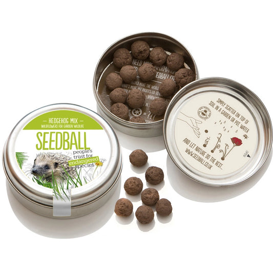 Seedball Tin: Hedgehog Mix, Wildflowers for a Healthy Garden