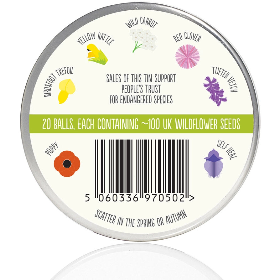 Seedball Tin: Hedgehog Mix, Wildflowers for a Healthy Garden