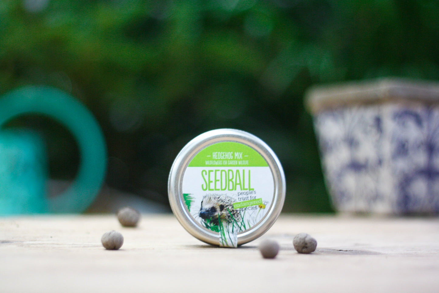 Seedball Tin: Hedgehog Mix, Wildflowers for a Healthy Garden