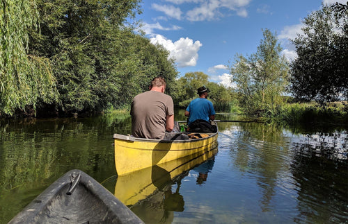 Beaver Trust Partnership: A Wild Encounter