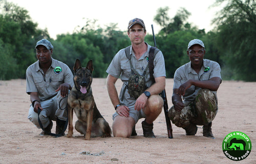 A Safari in Stitch: Our Partnership with Dogs 4 Wildlife