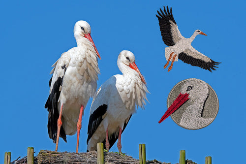Big News: We’re Heading to the Storrington Stork & Nature Festival!