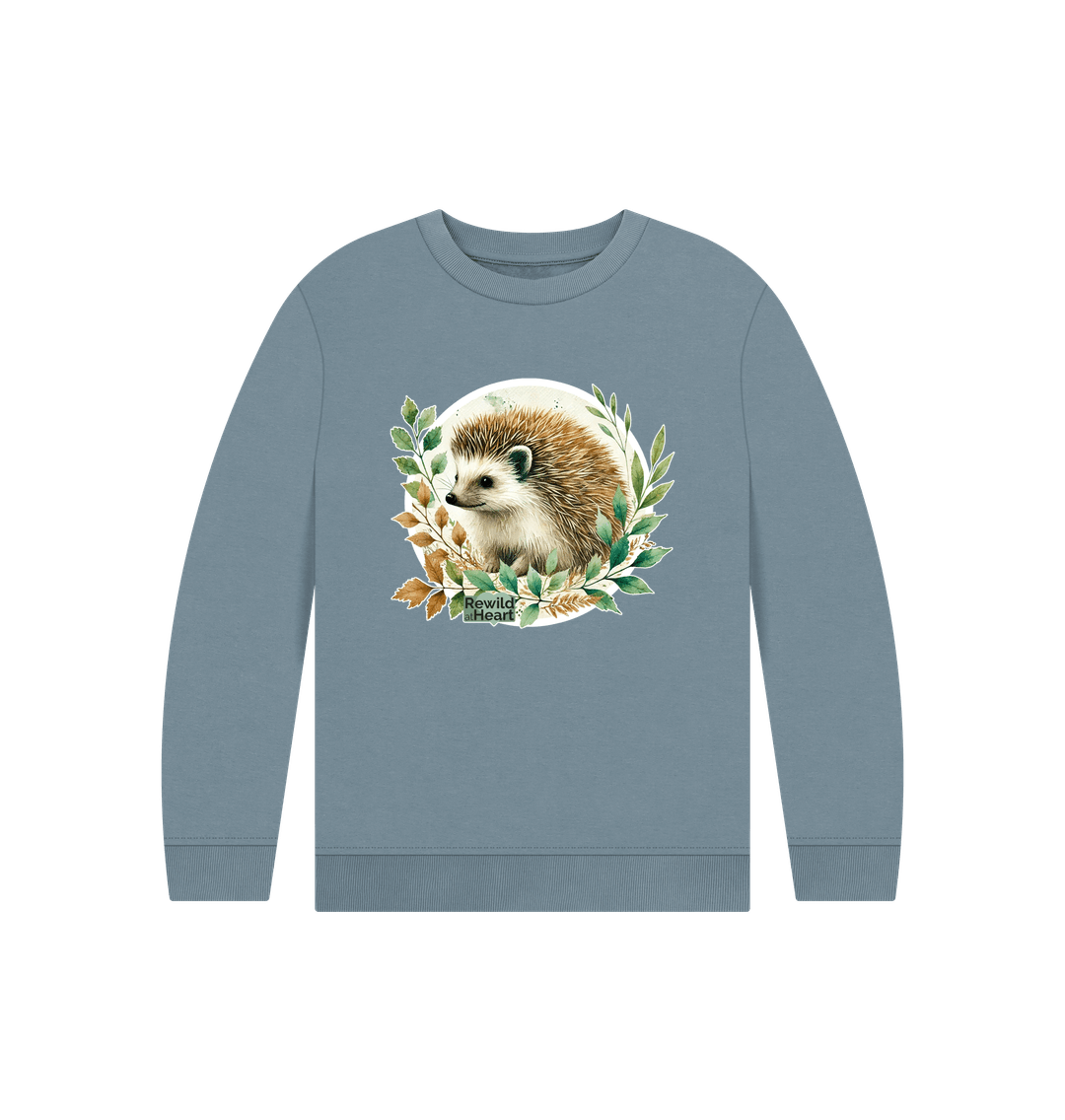 Stone Blue Hedgehog Harmony Kids Jumper