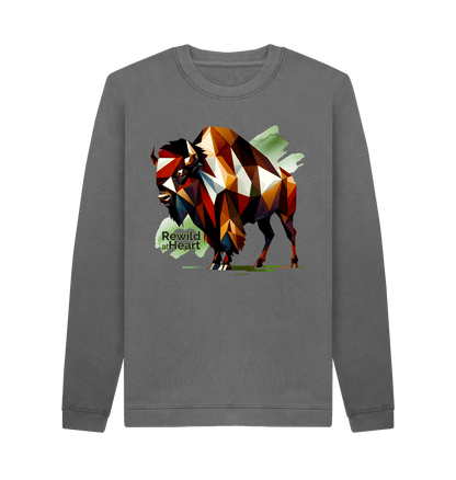 Slate Grey European Bison | Men's Sweater