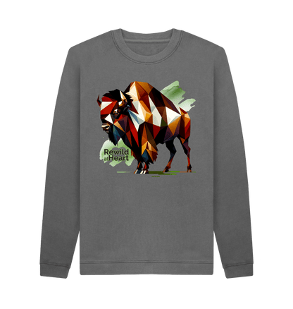 Slate Grey Printed Sweater Front