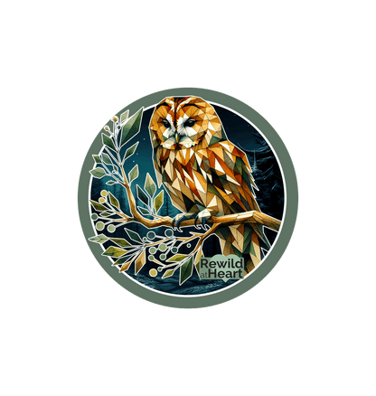 White Tawny Owl Sticker