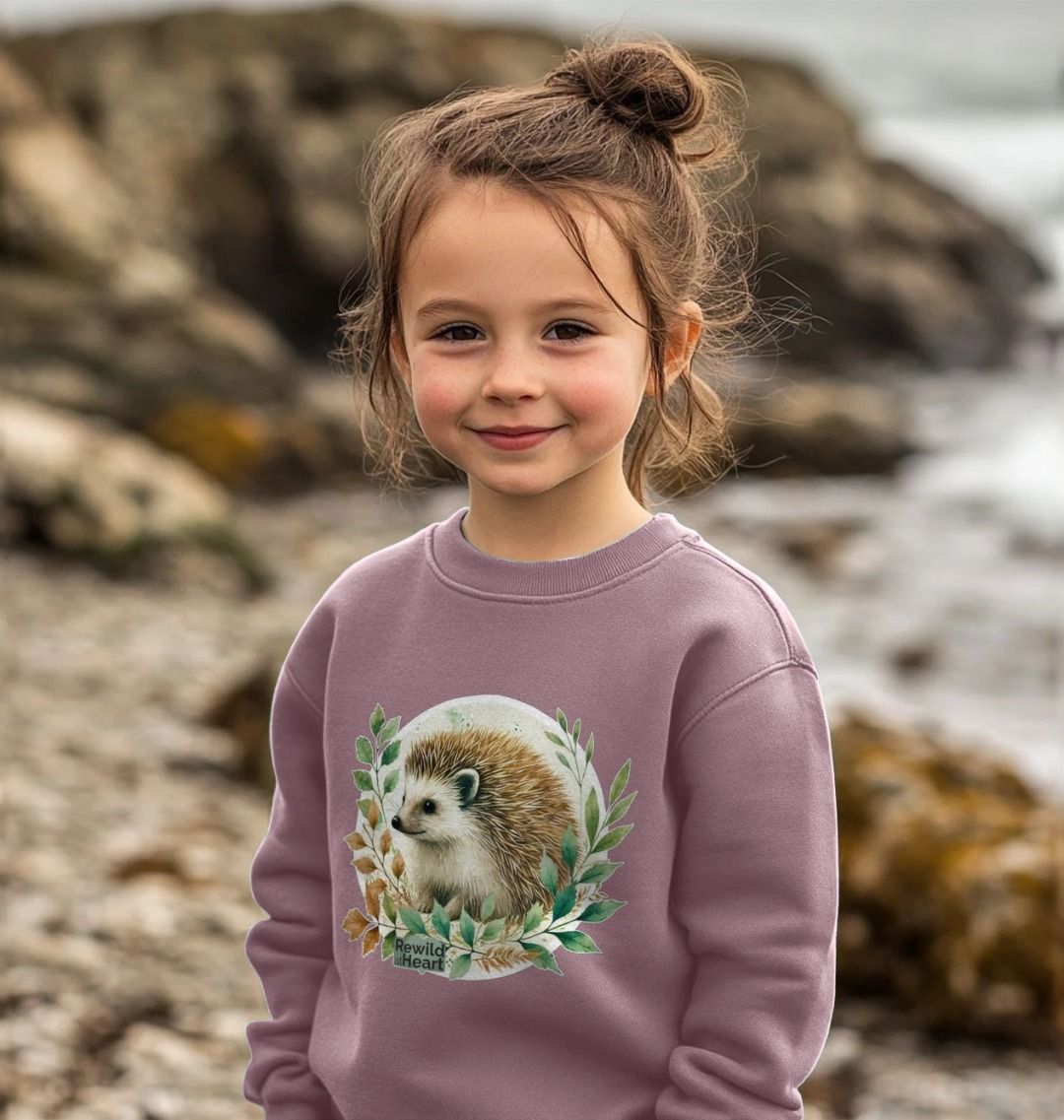 Hedgehog Harmony Kids Jumper