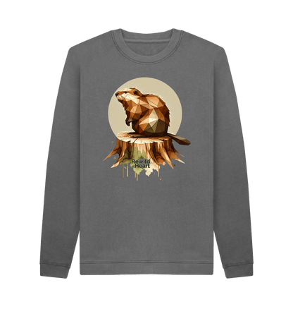 Slate Grey Wild Beaver Men's Sweater