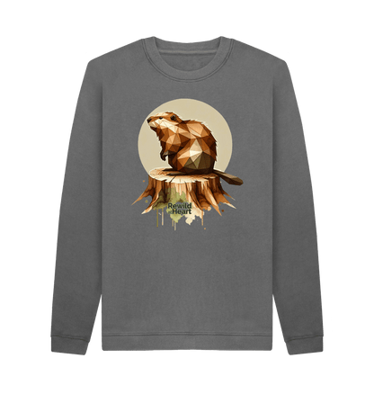 Slate Grey Printed Sweater Front