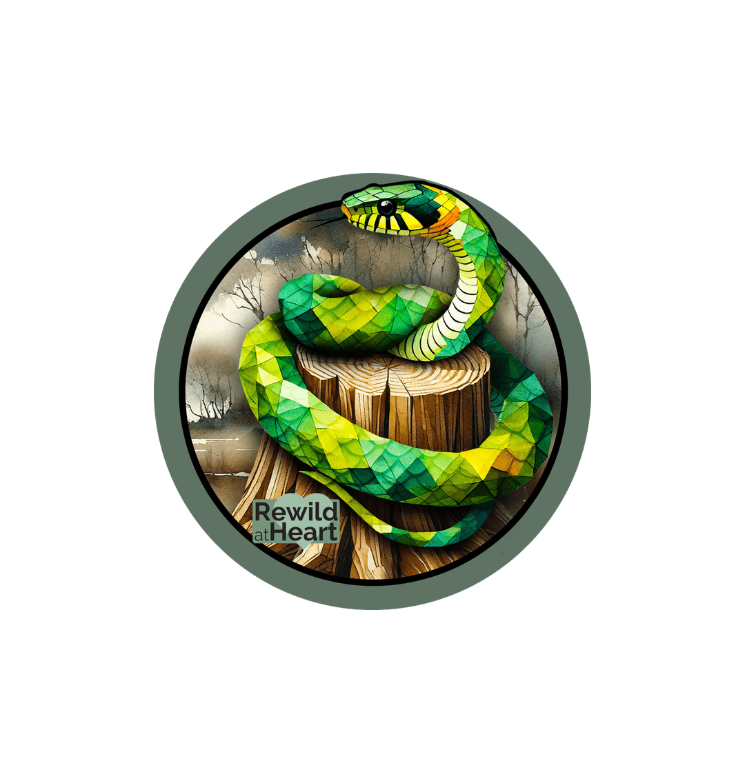 White Grass Snake Marsh Sticker