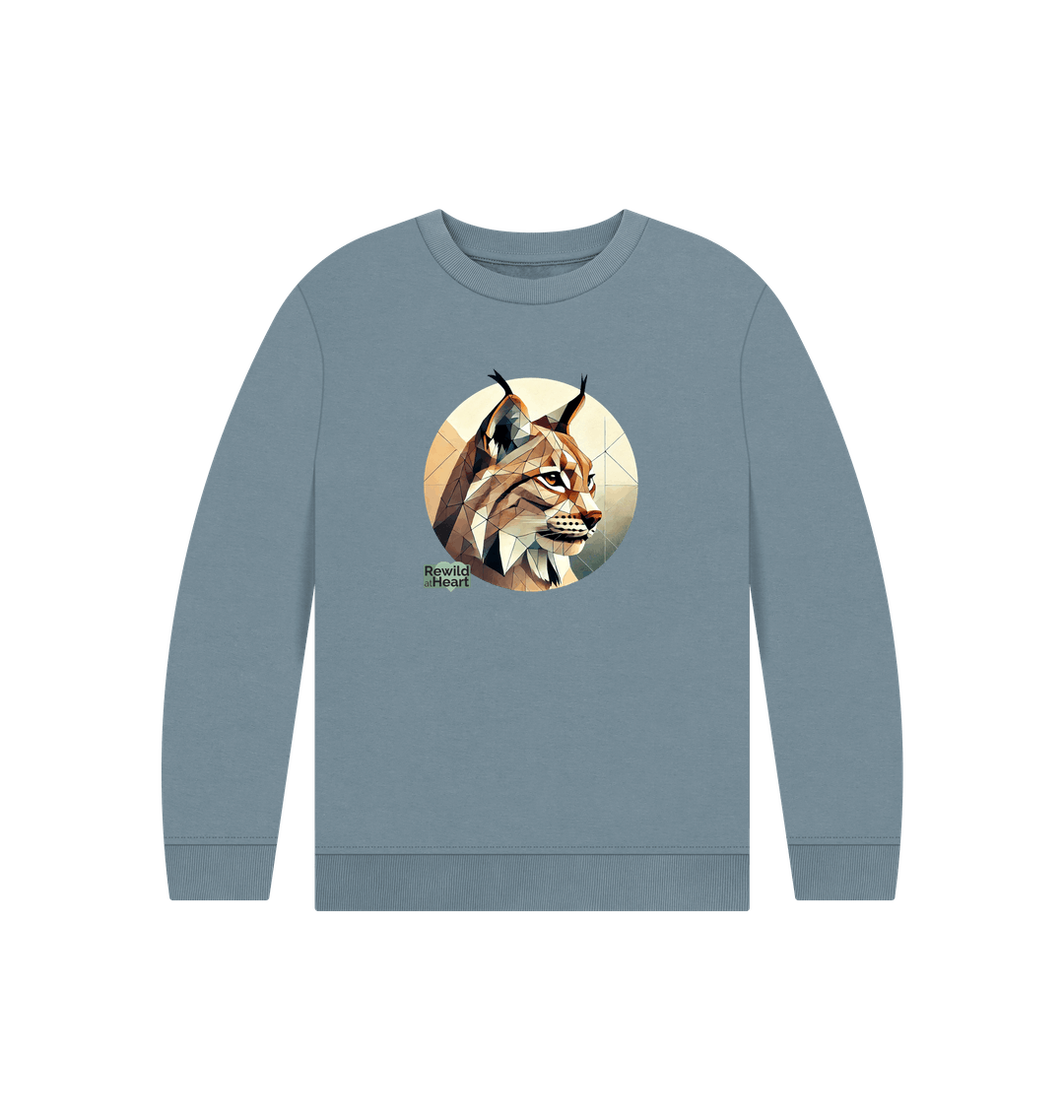 Stone Blue Printed Kids Jumper Front