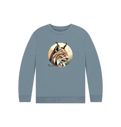 Stone Blue Printed Kids Jumper Front