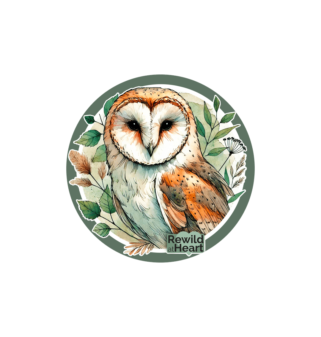 White Barn Owl Woodland Sticker