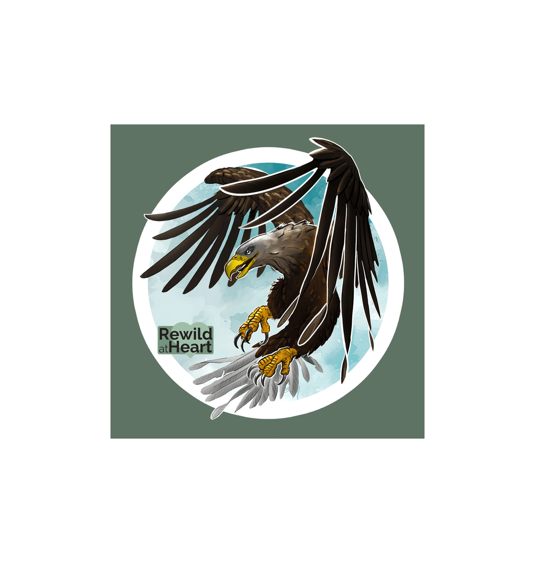 White White-Tailed Eagle Flight Sticker