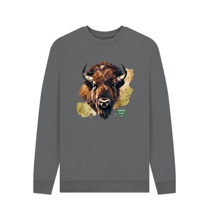 Slate Grey Printed Sweater Front