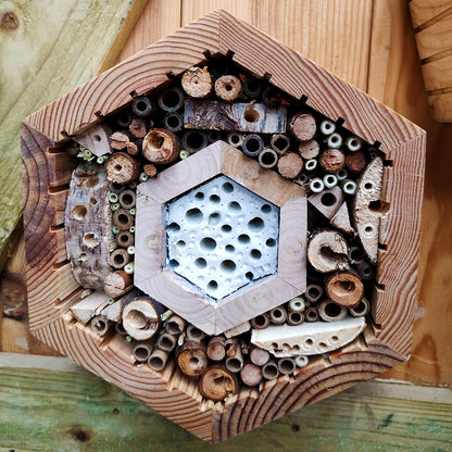 Honeycomb Bee Hotel with Clay Interior - Ideal for Mason Bees and Bumblebees