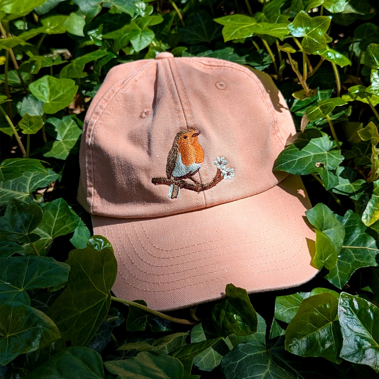 Robin Embroidered Baseball Cap