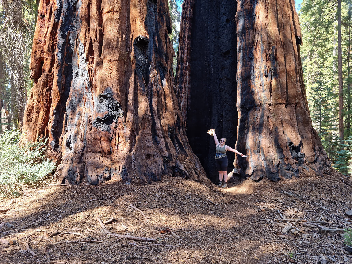 Ray's lovely wife Leigh between two fire-scarred sequoias © Ray Woods