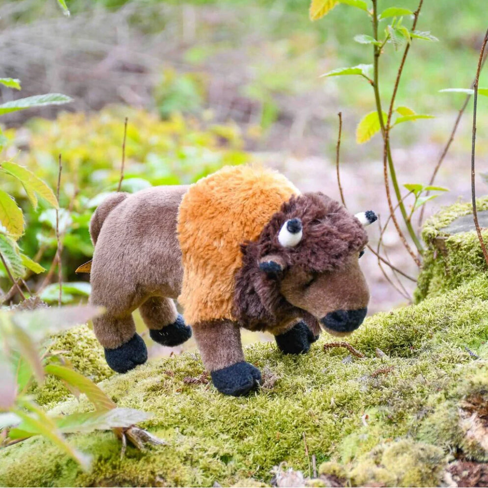 Adopt a Bison Pack - funds Kent Wildlife Trust