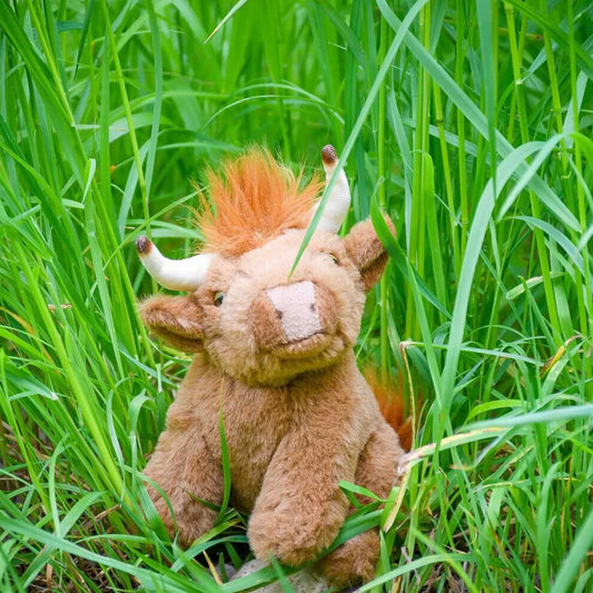 Adopt a Highland Cow Pack - funds Kent Wildlife Trust