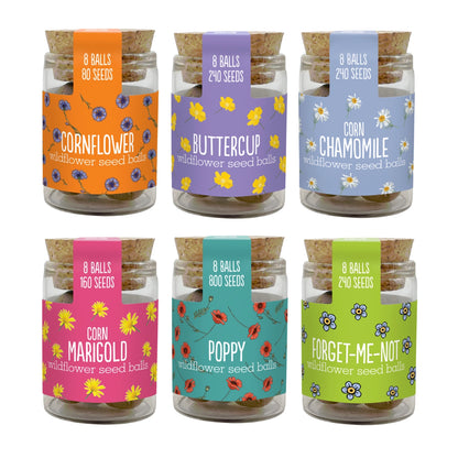 Mini Wildflower Seed Ball Jars: 6 Varieties
