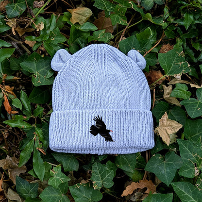 Chough Embroidered Baby Bear Beanie (up to 2 years)