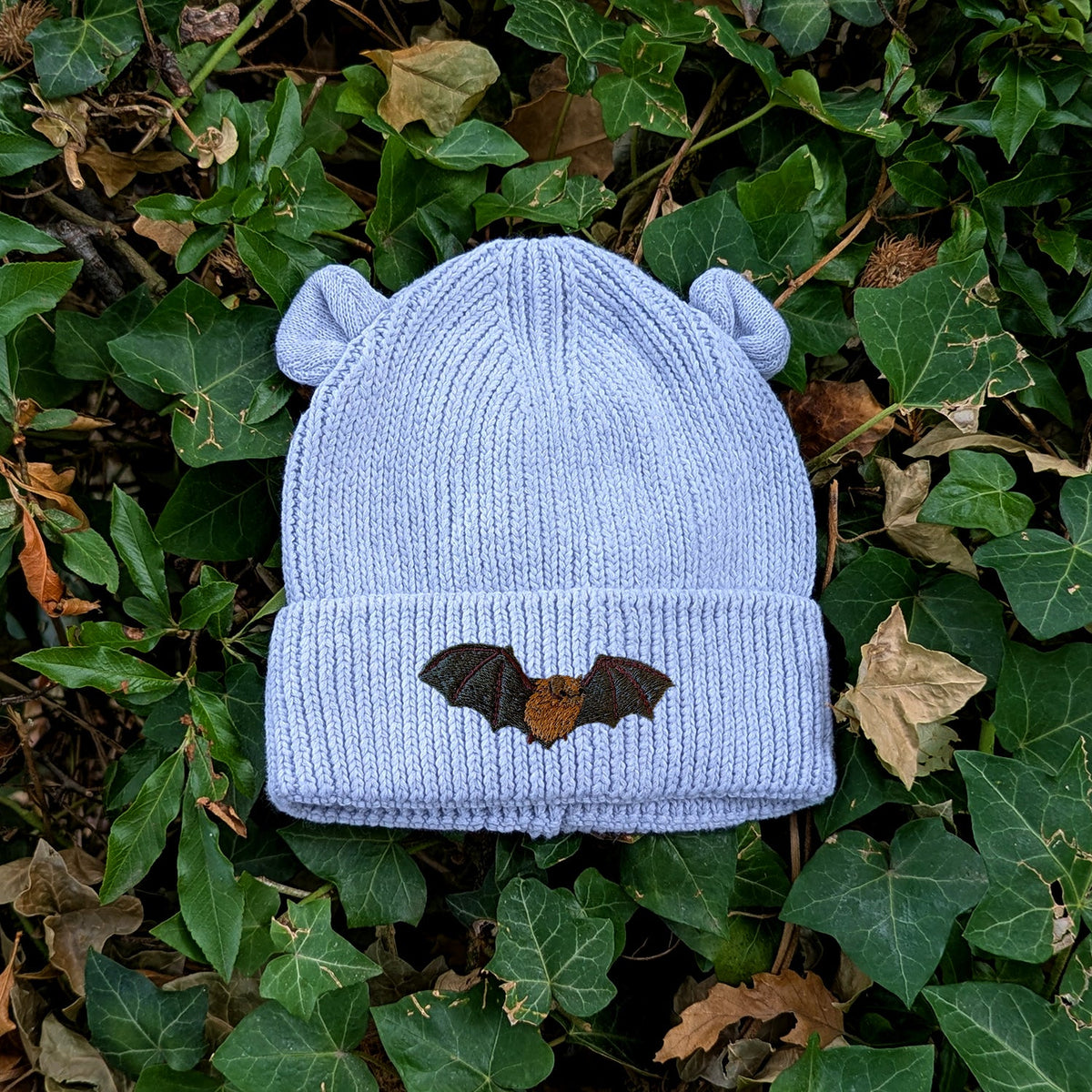 Noctule Bat Embroidered Baby Bear Beanie (up to 2 years)