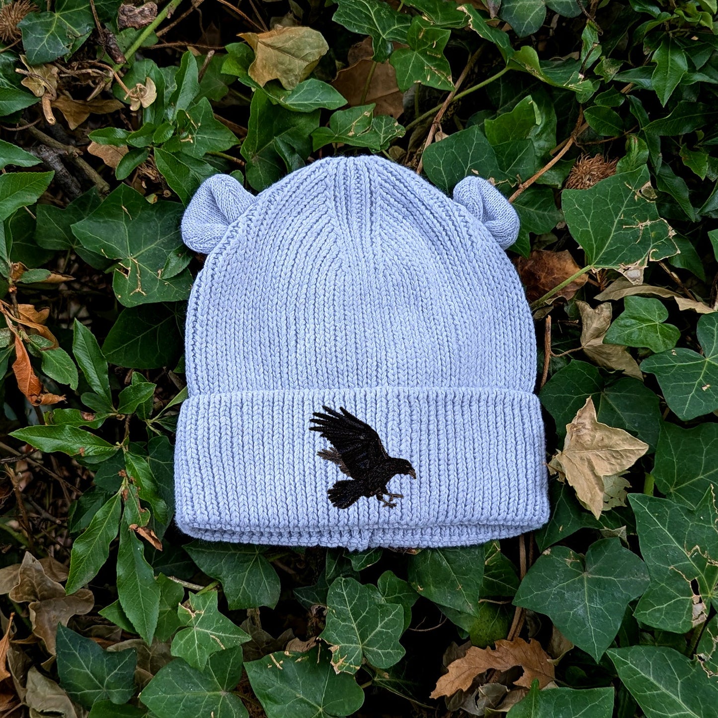 Raven Embroidered Baby Bear Beanie (up to 2 years)