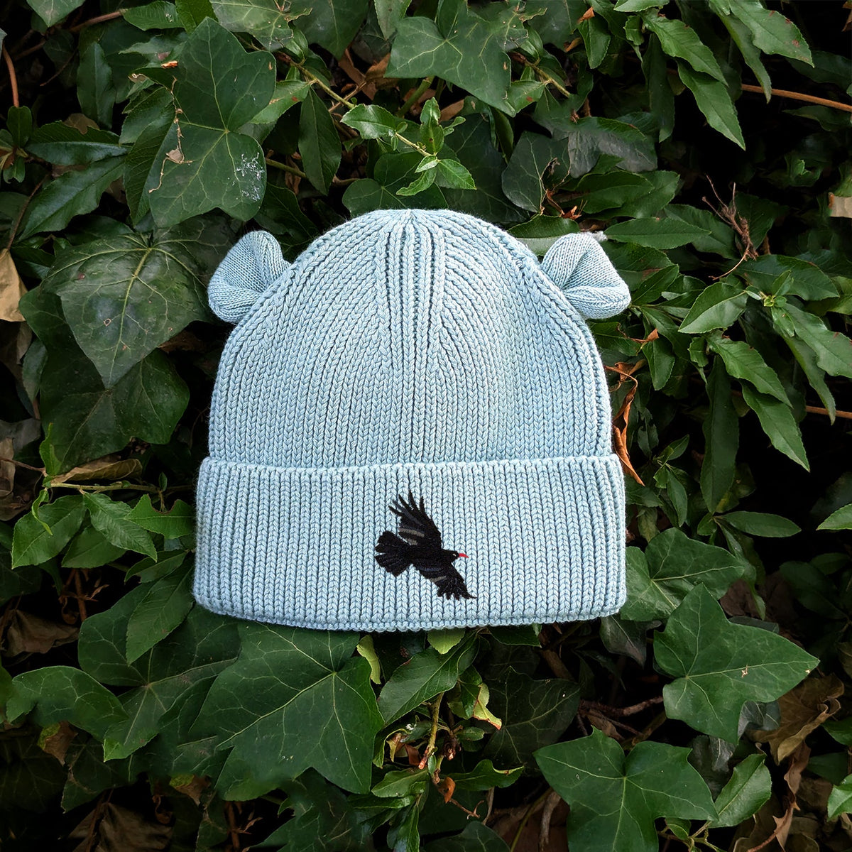 Chough Embroidered Baby Bear Beanie (up to 2 years)