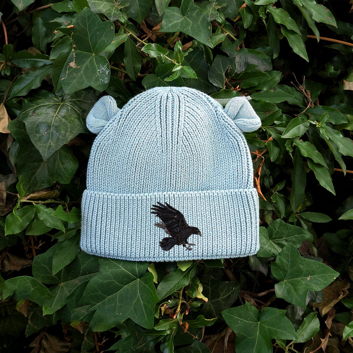 Raven Embroidered Baby Bear Beanie (up to 2 years)