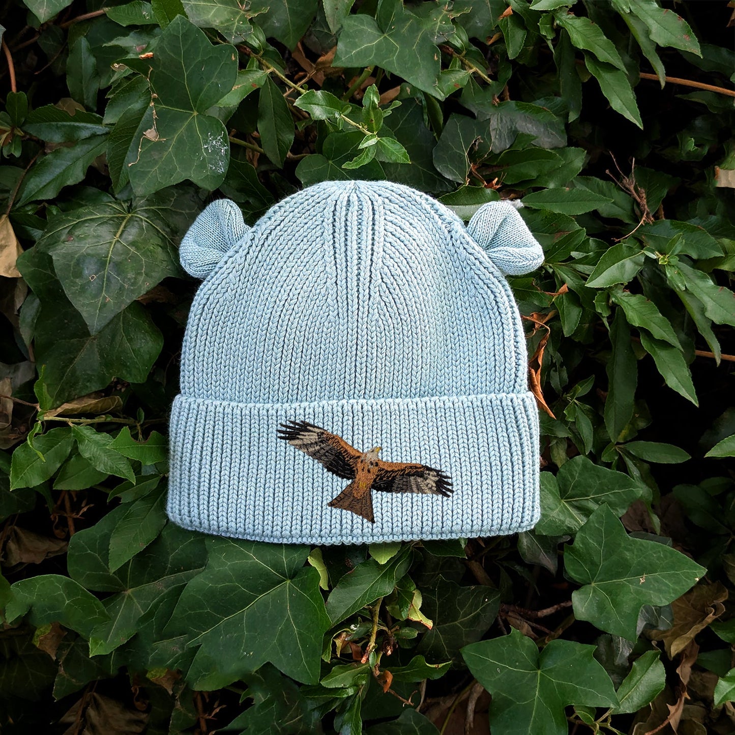 Red Kite Embroidered Baby Bear Beanie (up to 2 years)