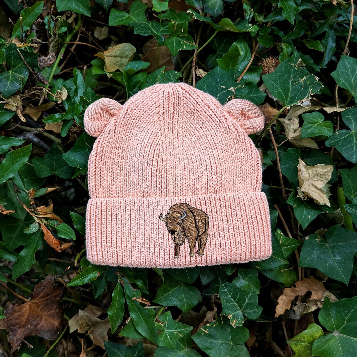 Bison Embroidered Baby Bear Beanie (up to 2 years)