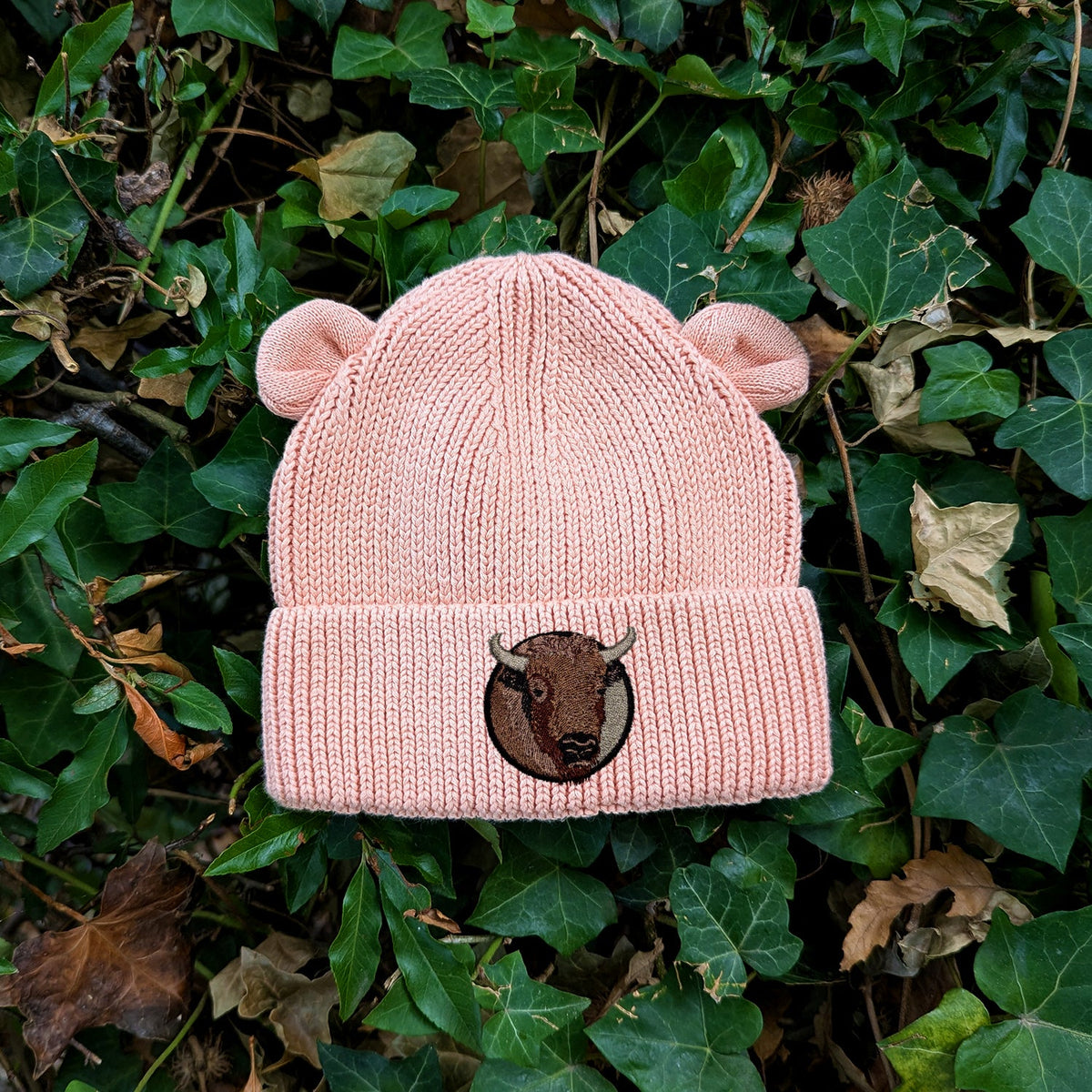 Bison Portrait Embroidered Baby Bear Beanie (up to 2 years)