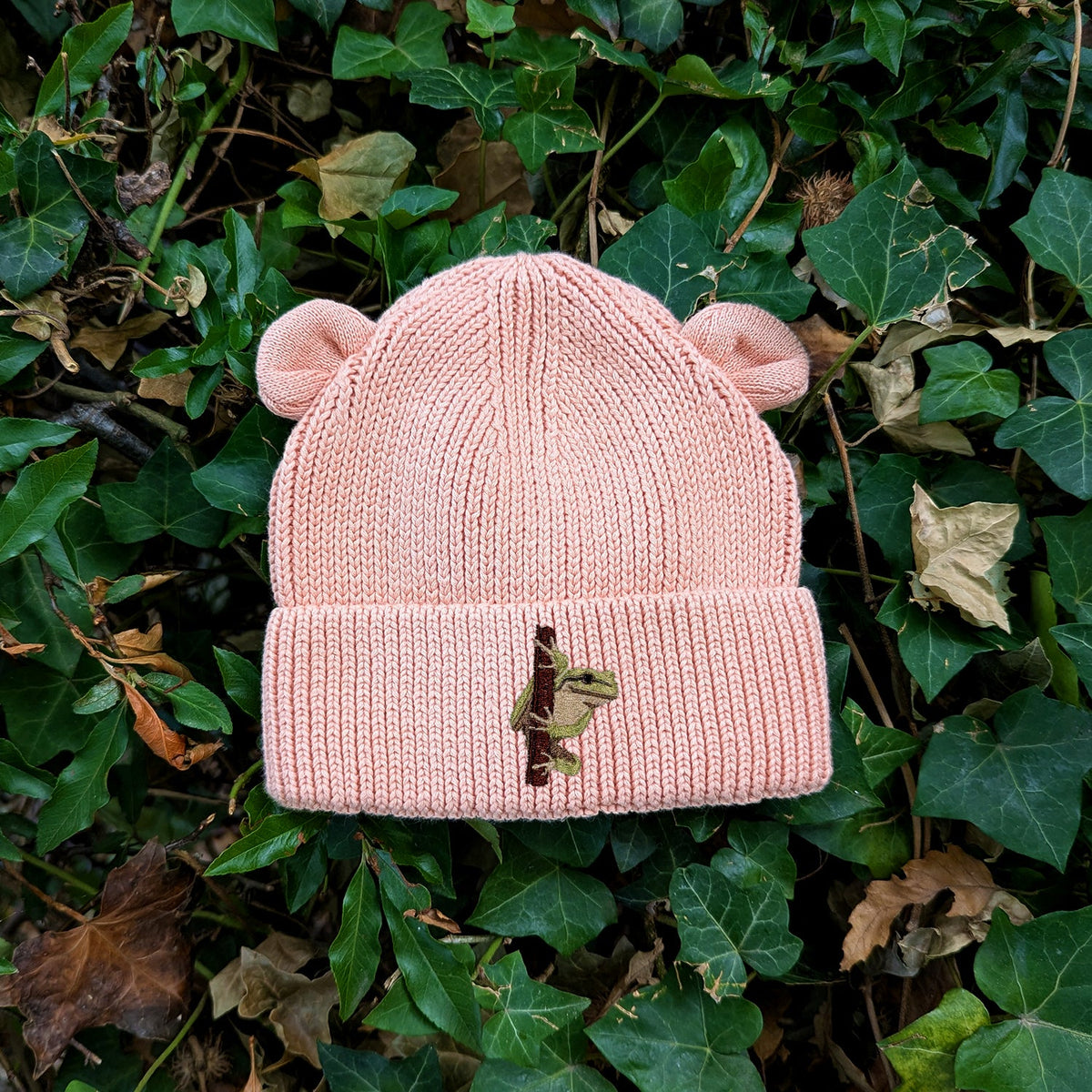 European Tree Frog Embroidered Baby Bear Beanie (up to 2 years)