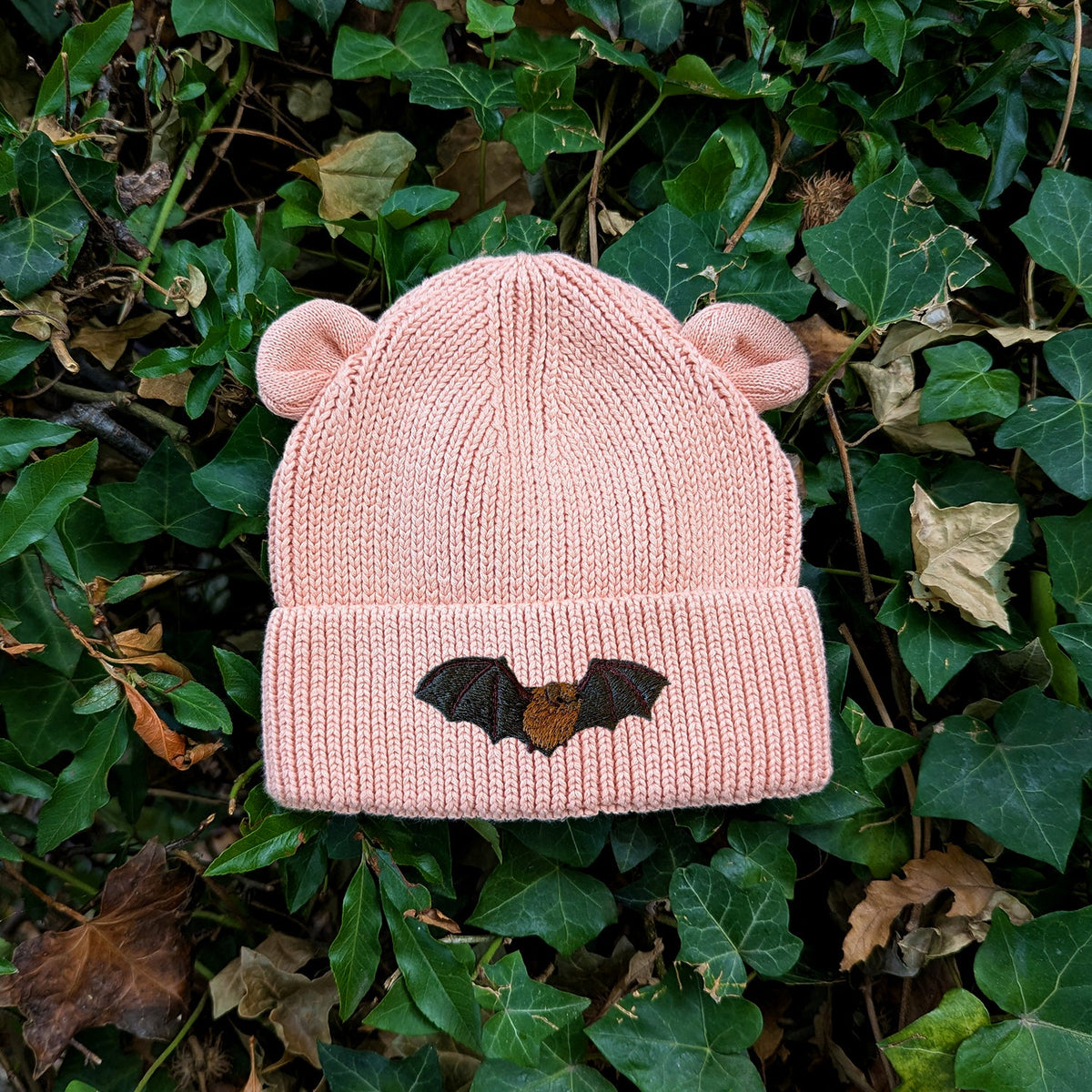 Noctule Bat Embroidered Baby Bear Beanie (up to 2 years)