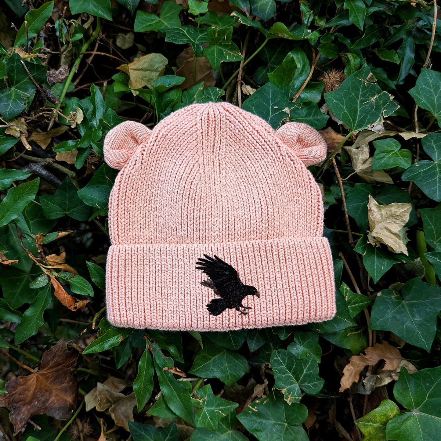 Raven Embroidered Baby Bear Beanie (up to 2 years)
